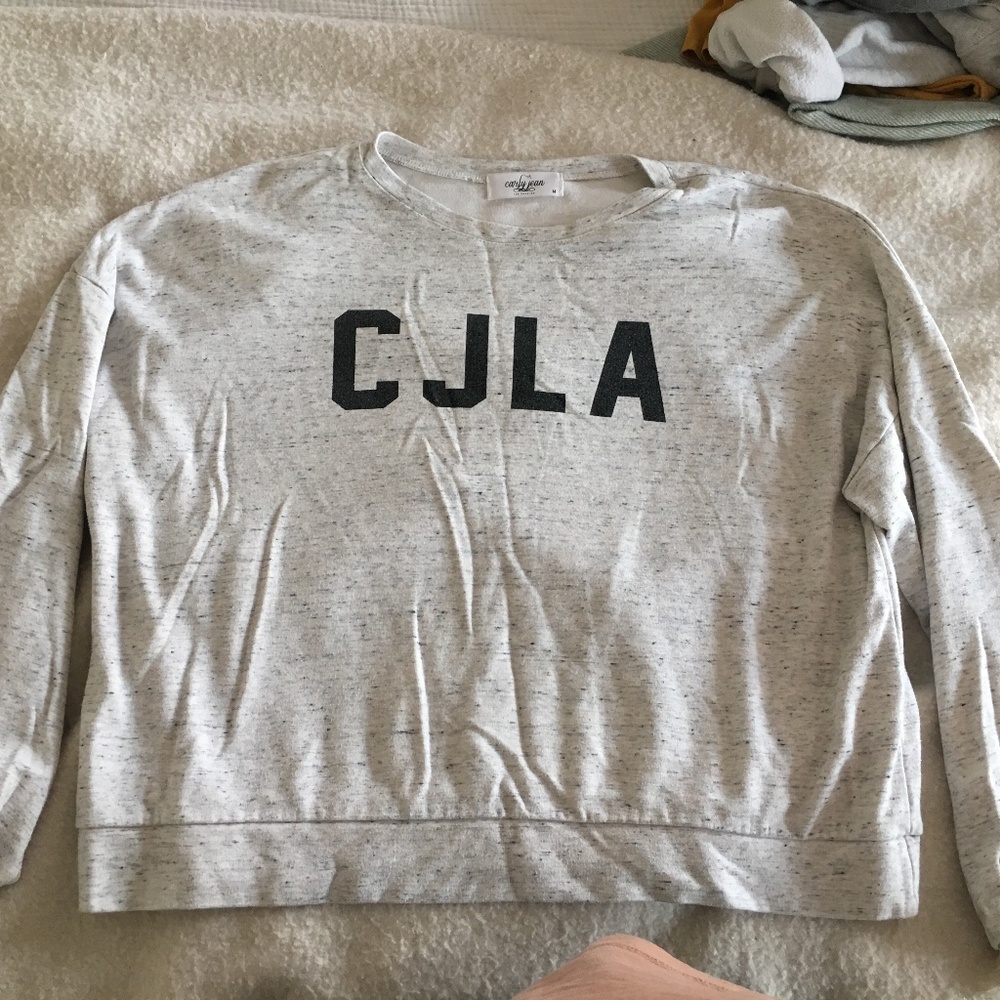 Carly Jean Los Angeles cropped sweatshirt